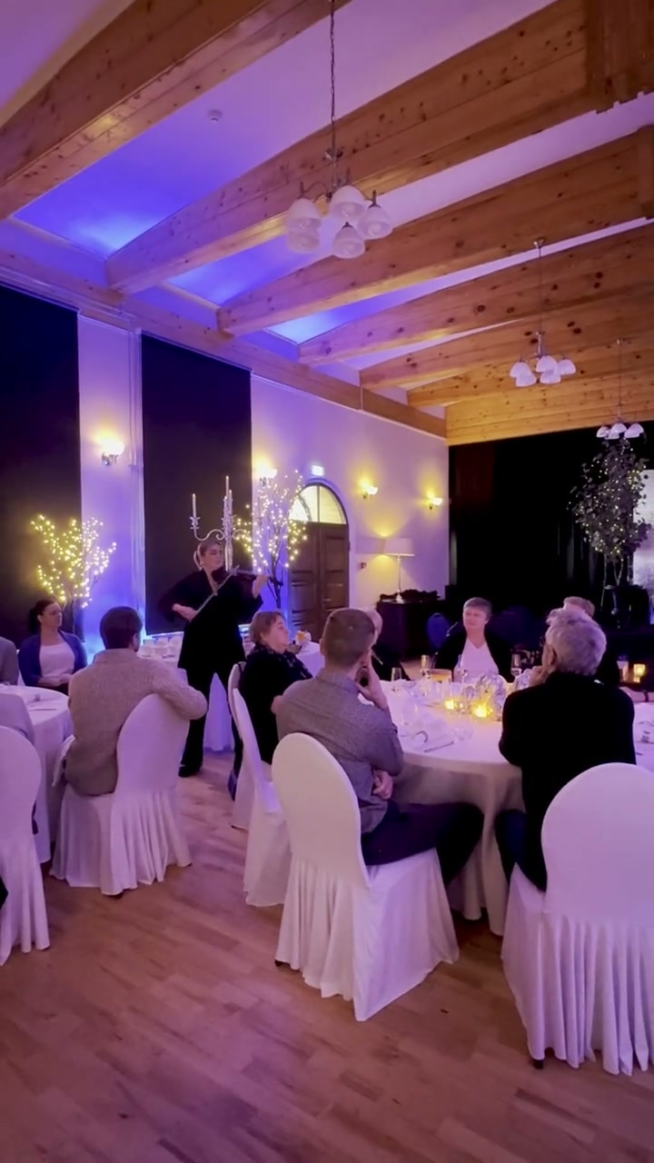 Kaader elegantsest elektriviiuli kavast